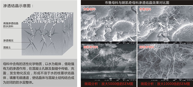 EZ615 高強滲透結晶2